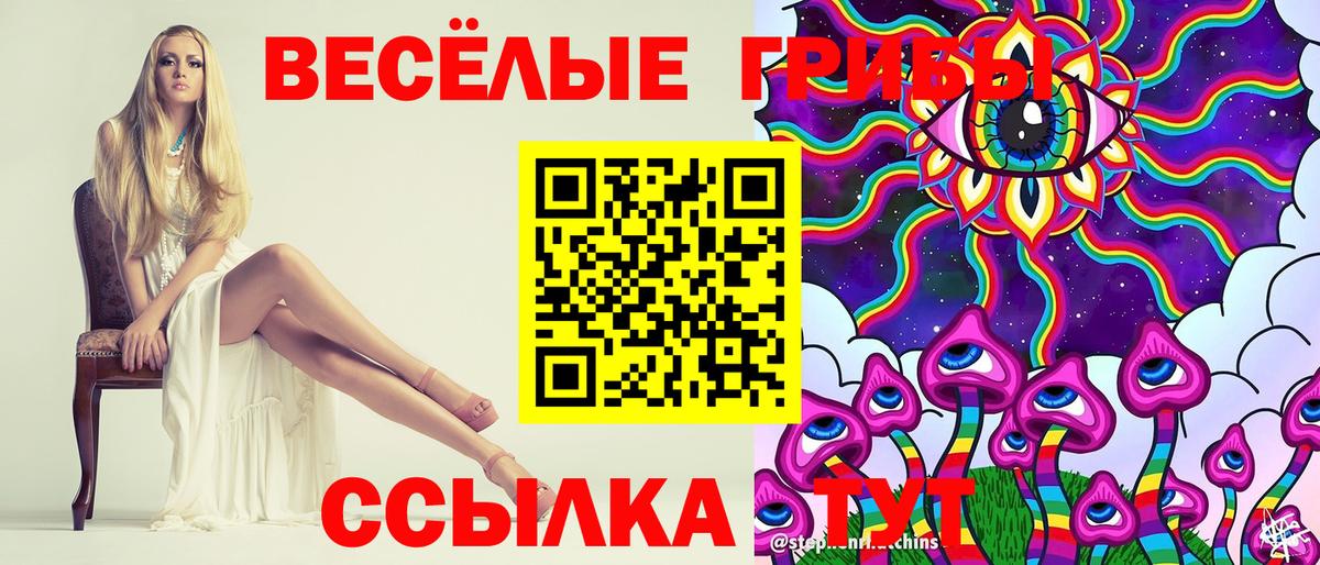 Псилоцибиновые грибы Cubensis  как найти закладки  Верхняя Пышма  Вход с VPN 